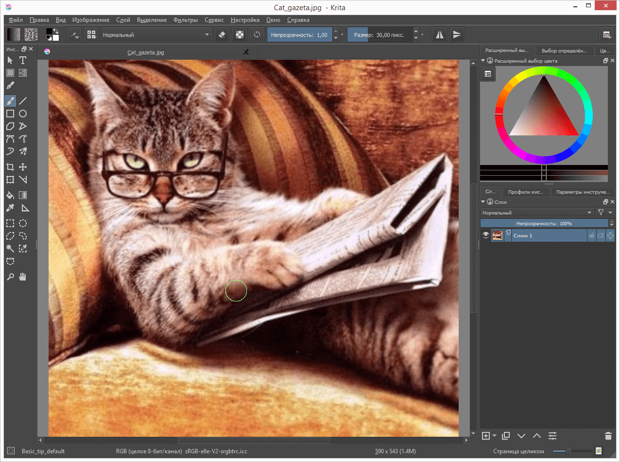 Krita